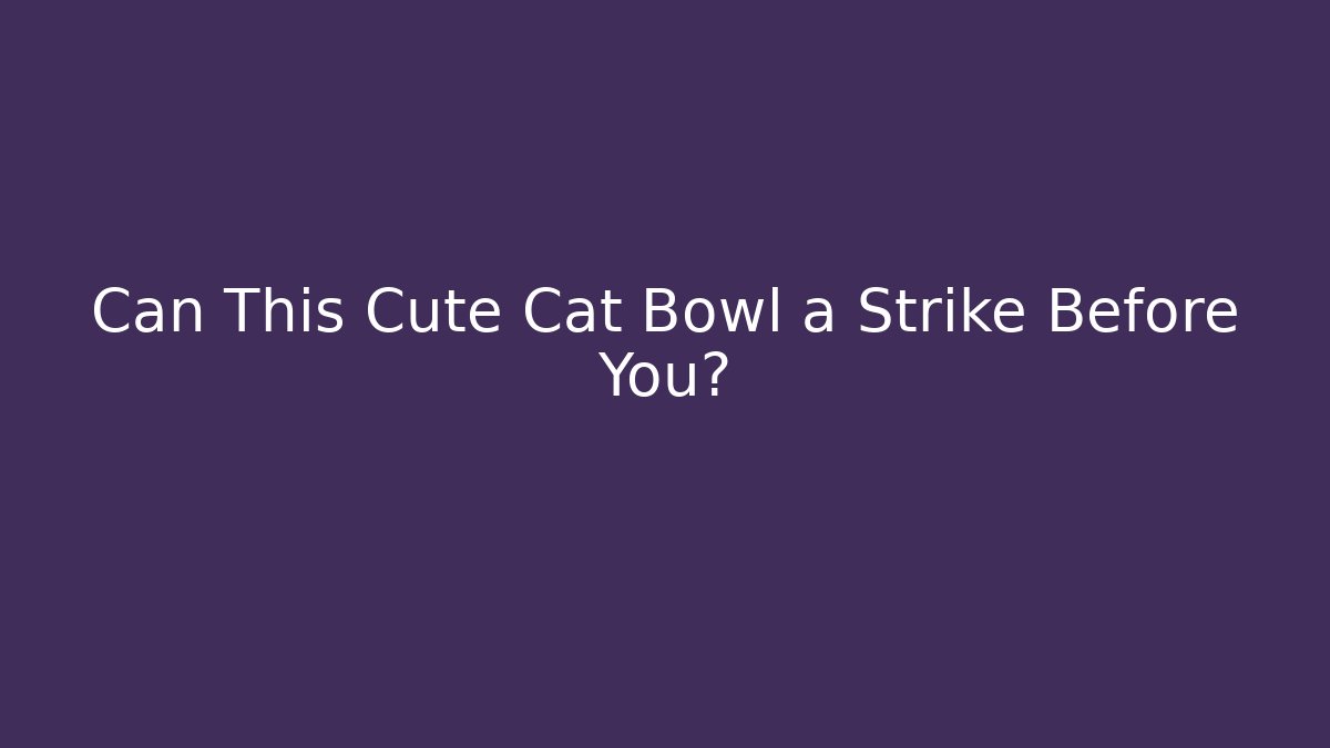 Can This Cute Cat Bowl a Strike Before You?