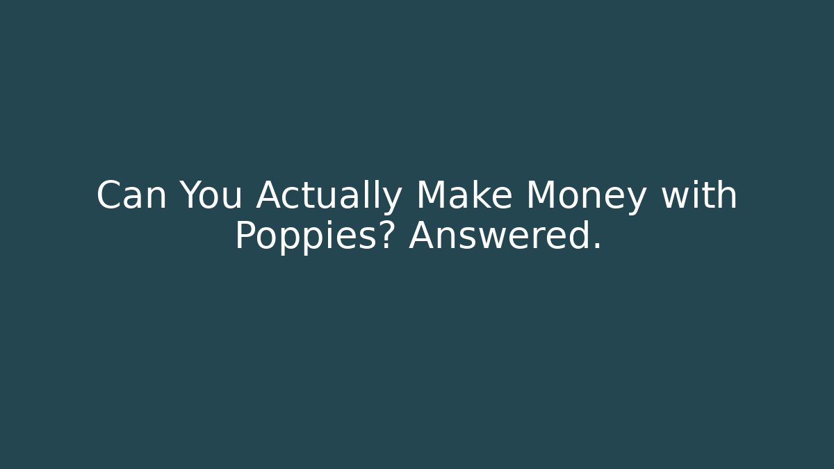 Can You Actually Make Money with Poppies? Answered.
