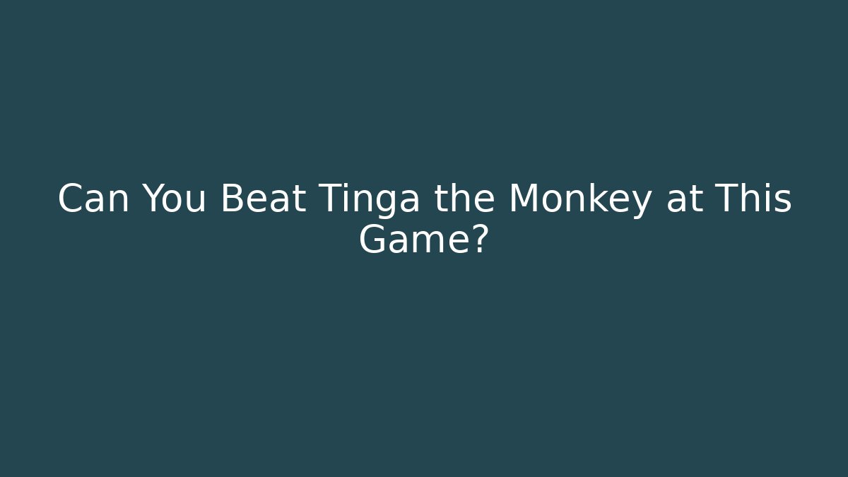 Can You Beat Tinga the Monkey at This Game?