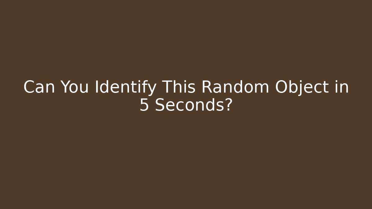 Can You Identify This Random Object in 5 Seconds?
