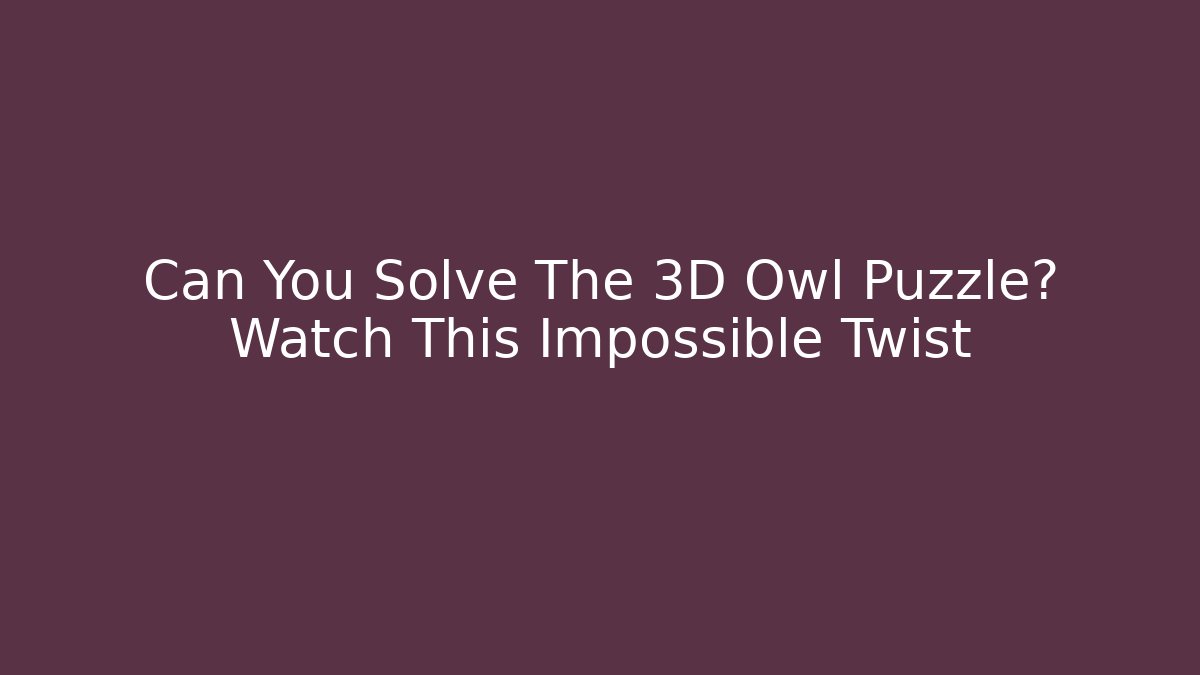 Can You Solve The 3D Owl Puzzle? Watch This Impossible Twist