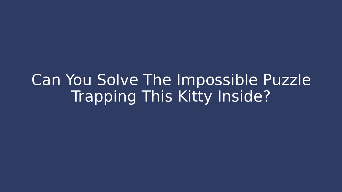 Can You Solve The Impossible Puzzle Trapping This Kitty Inside?