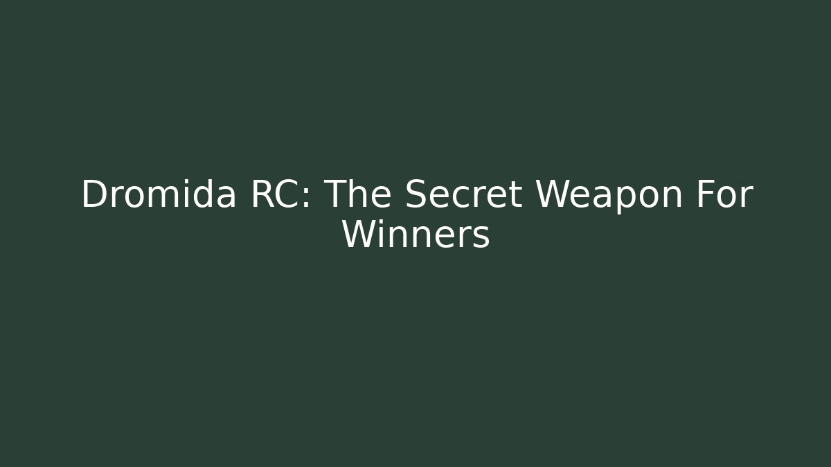 Dromida RC: The Secret Weapon For Winners