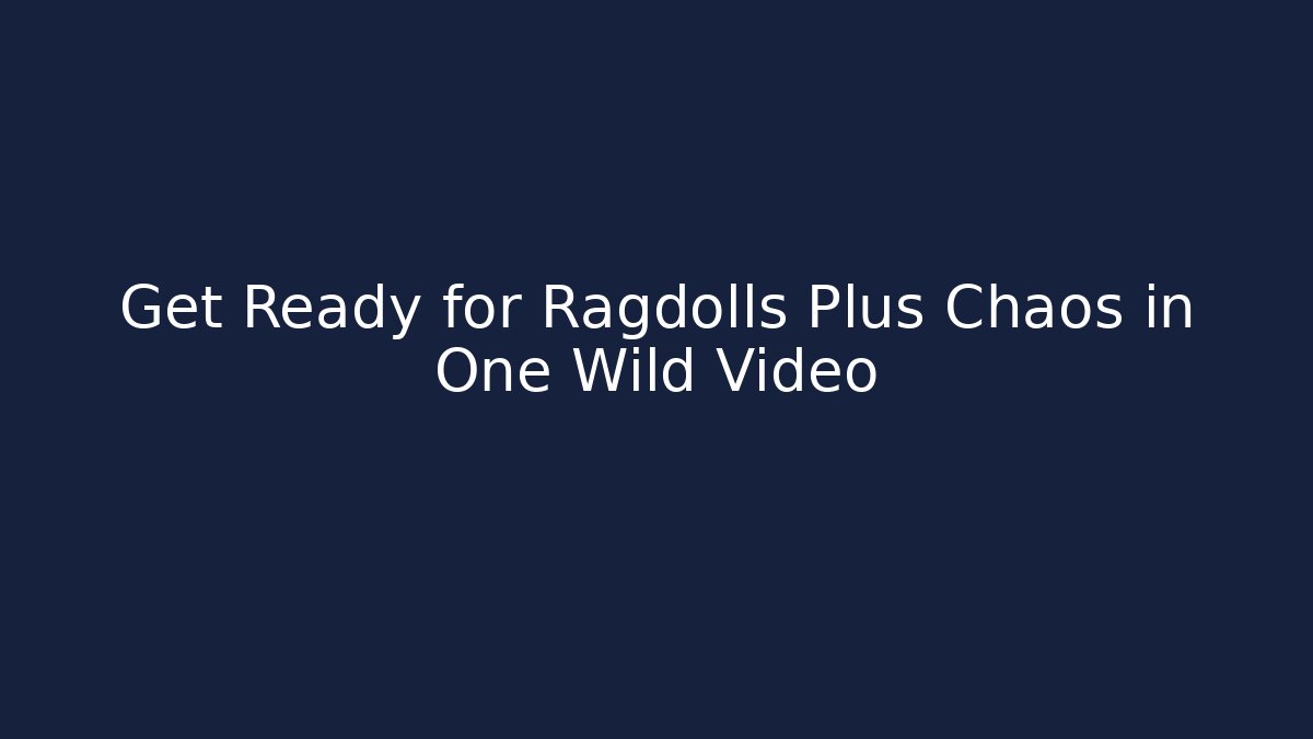 Get Ready for Ragdolls Plus Chaos in One Wild Video