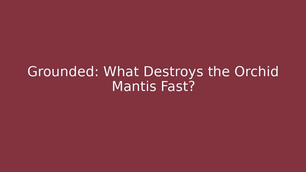Grounded: What Destroys the Orchid Mantis Fast?