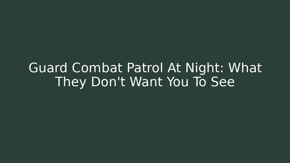 Guard Combat Patrol At Night: What They Don't Want You To See