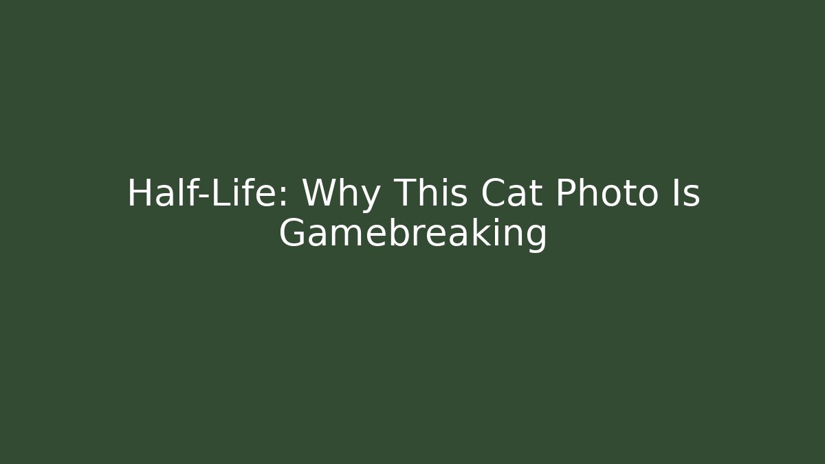 Half-Life: Why This Cat Photo Is Gamebreaking