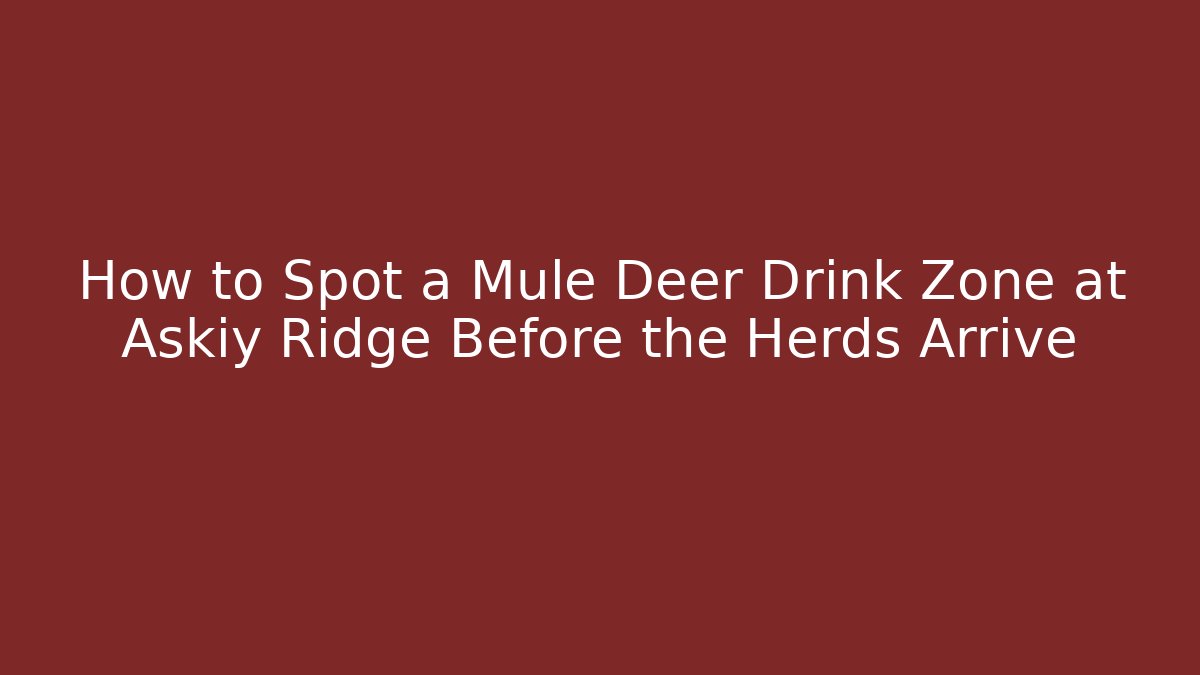 How to Spot a Mule Deer Drink Zone at Askiy Ridge Before the Herds Arrive