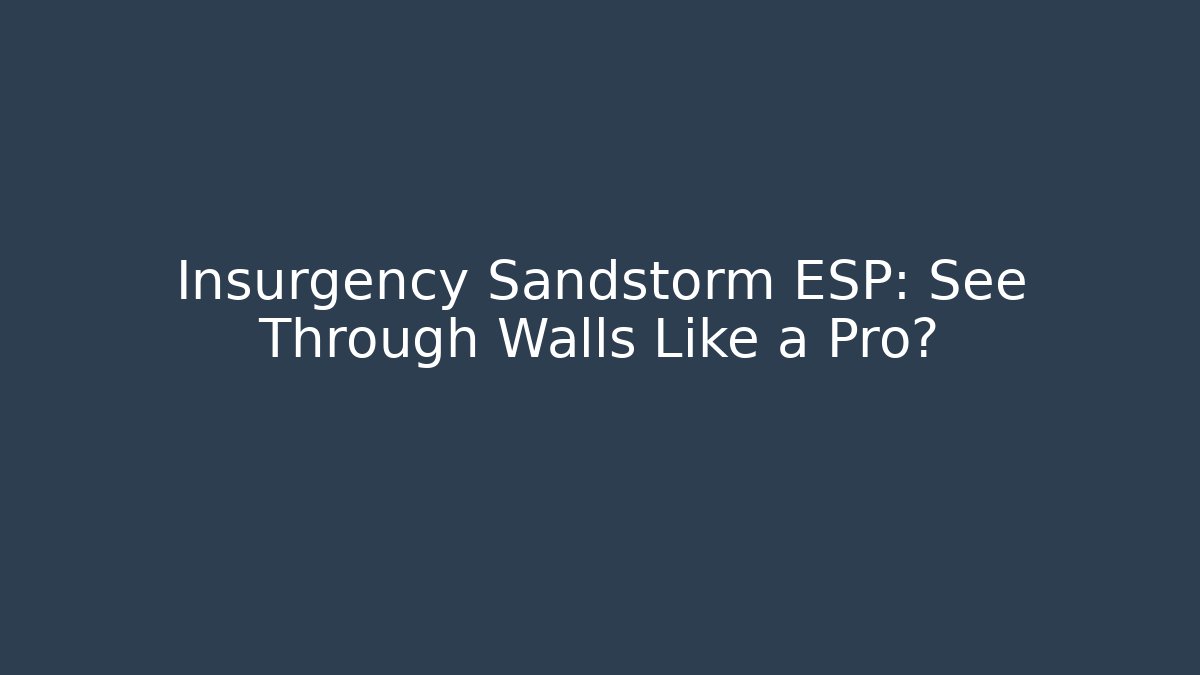 Insurgency Sandstorm ESP: See Through Walls Like a Pro?