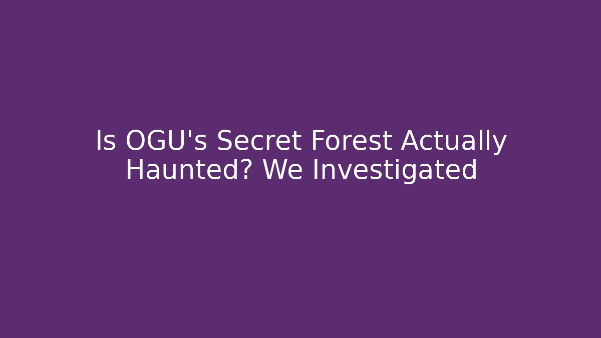 Is OGU's Secret Forest Actually Haunted? We Investigated
