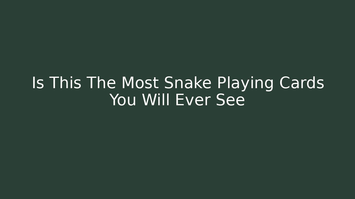 Is This The Most Snake Playing Cards You Will Ever See