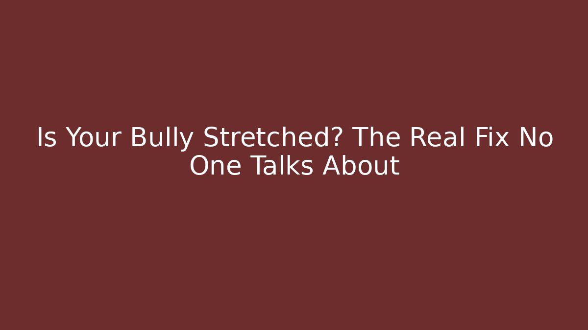 Is Your Bully Stretched? The Real Fix No One Talks About - Buddy Program
