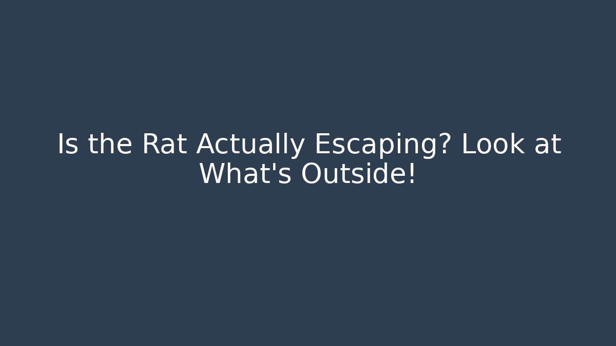Is the Rat Actually Escaping? Look at What's Outside!