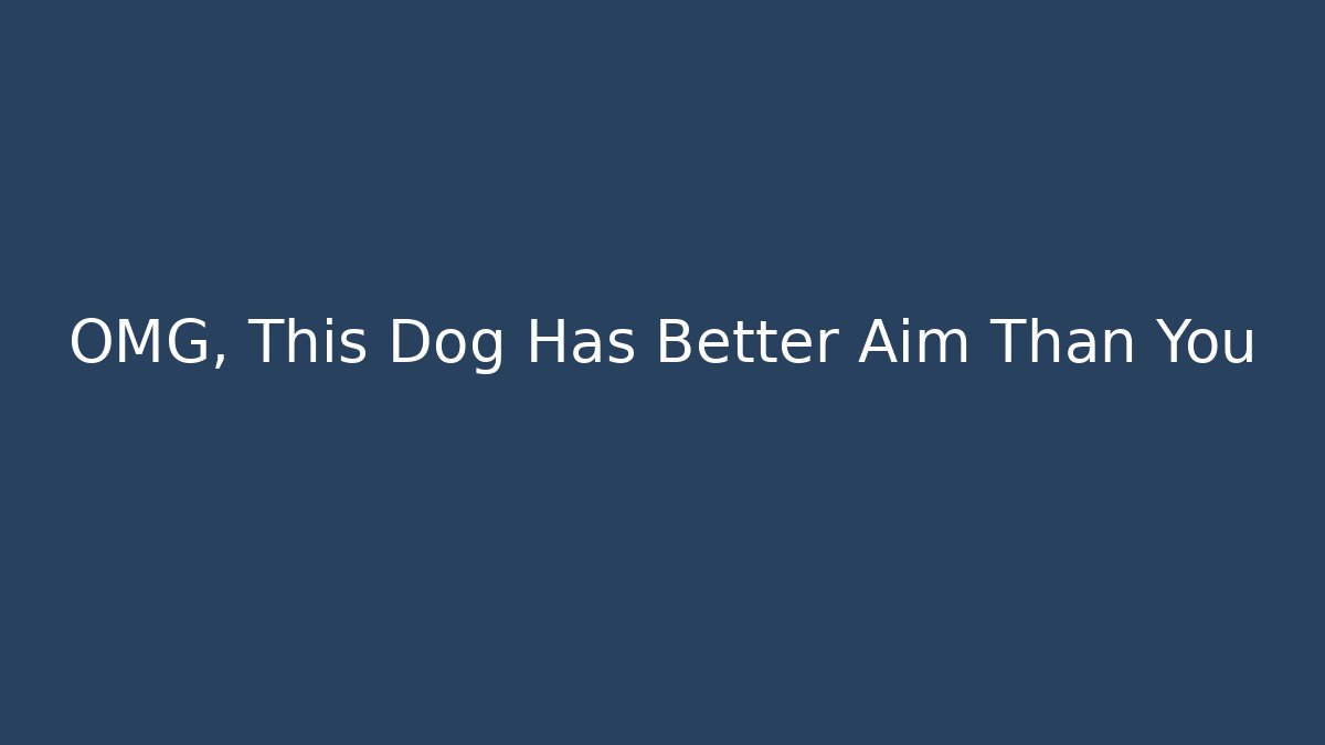 OMG, This Dog Has Better Aim Than You