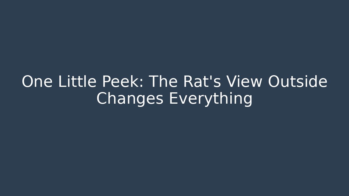One Little Peek: The Rat's View Outside Changes Everything