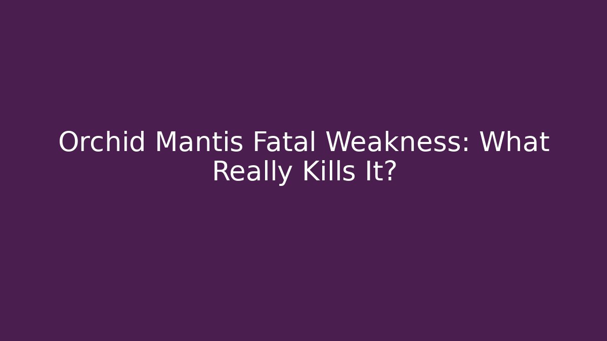 Orchid Mantis Fatal Weakness: What Really Kills It?