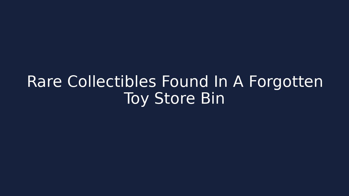 Rare Collectibles Found In A Forgotten Toy Store Bin