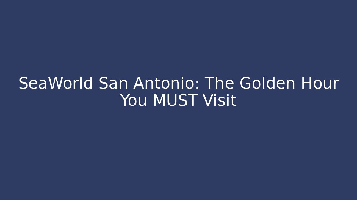SeaWorld San Antonio: The Golden Hour You MUST Visit