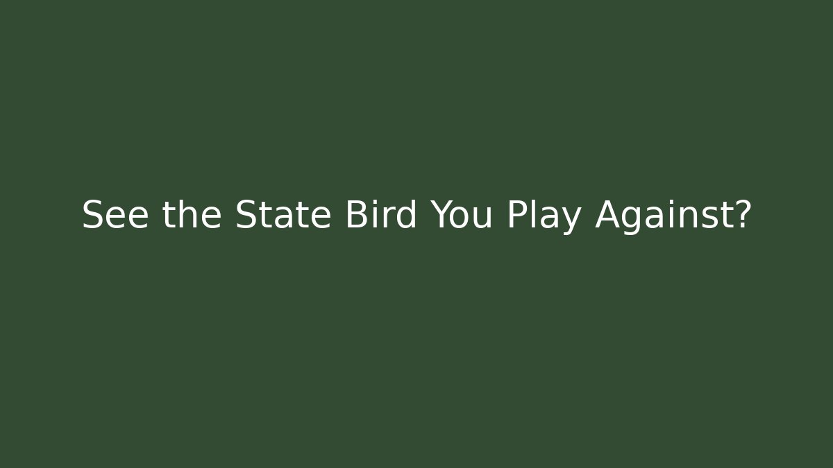 See the State Bird You Play Against?
