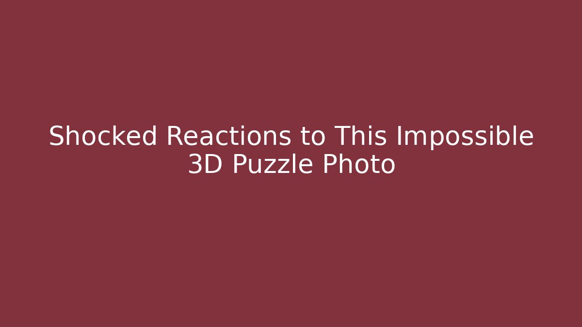 Shocked Reactions to This Impossible 3D Puzzle Photo