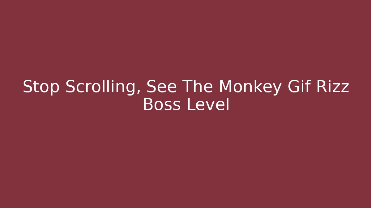 Stop Scrolling, See The Monkey Gif Rizz Boss Level
