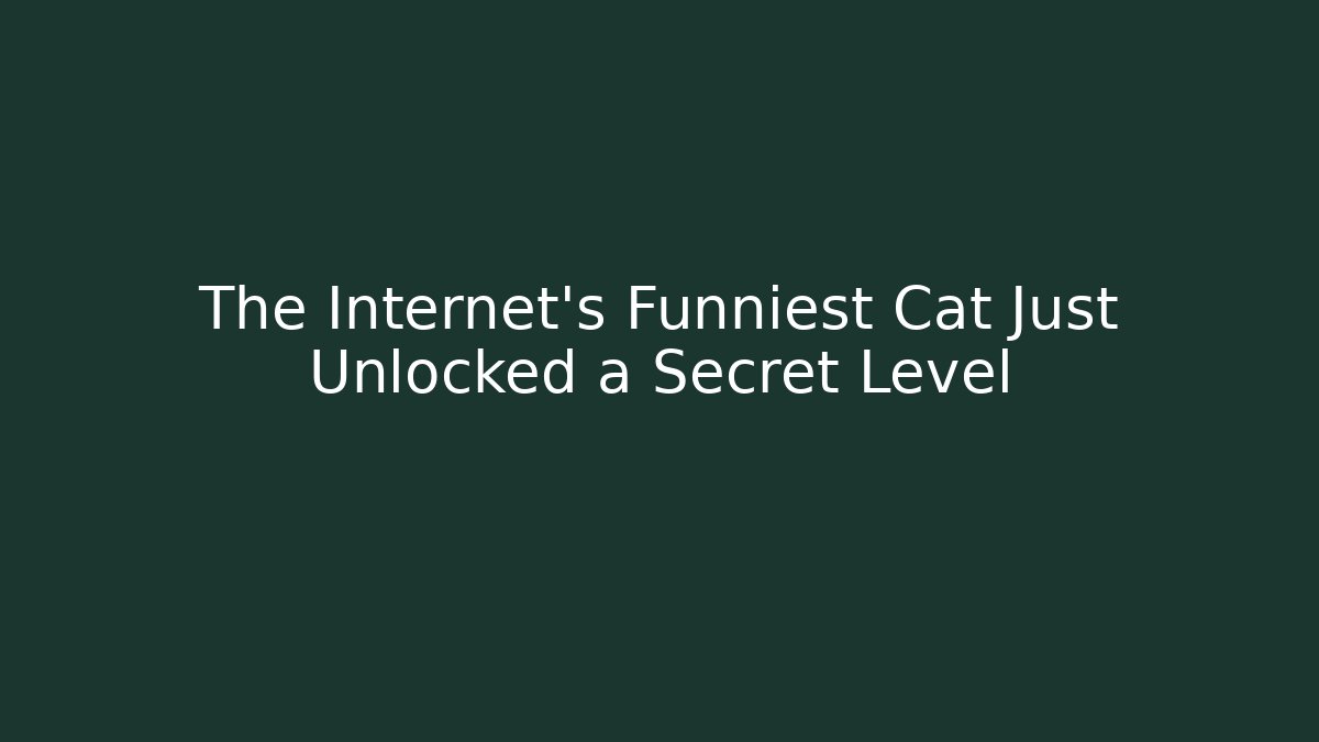 The Internet’s Funniest Cat Just Unlocked a Secret Level - Buddy Program