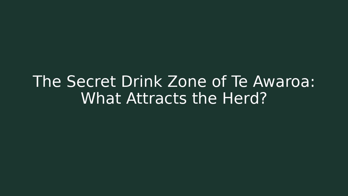 The Secret Drink Zone of Te Awaroa: What Attracts the Herd?
