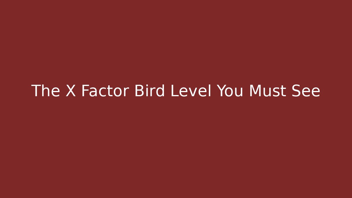 The X Factor Bird Level You Must See - Buddy Program
