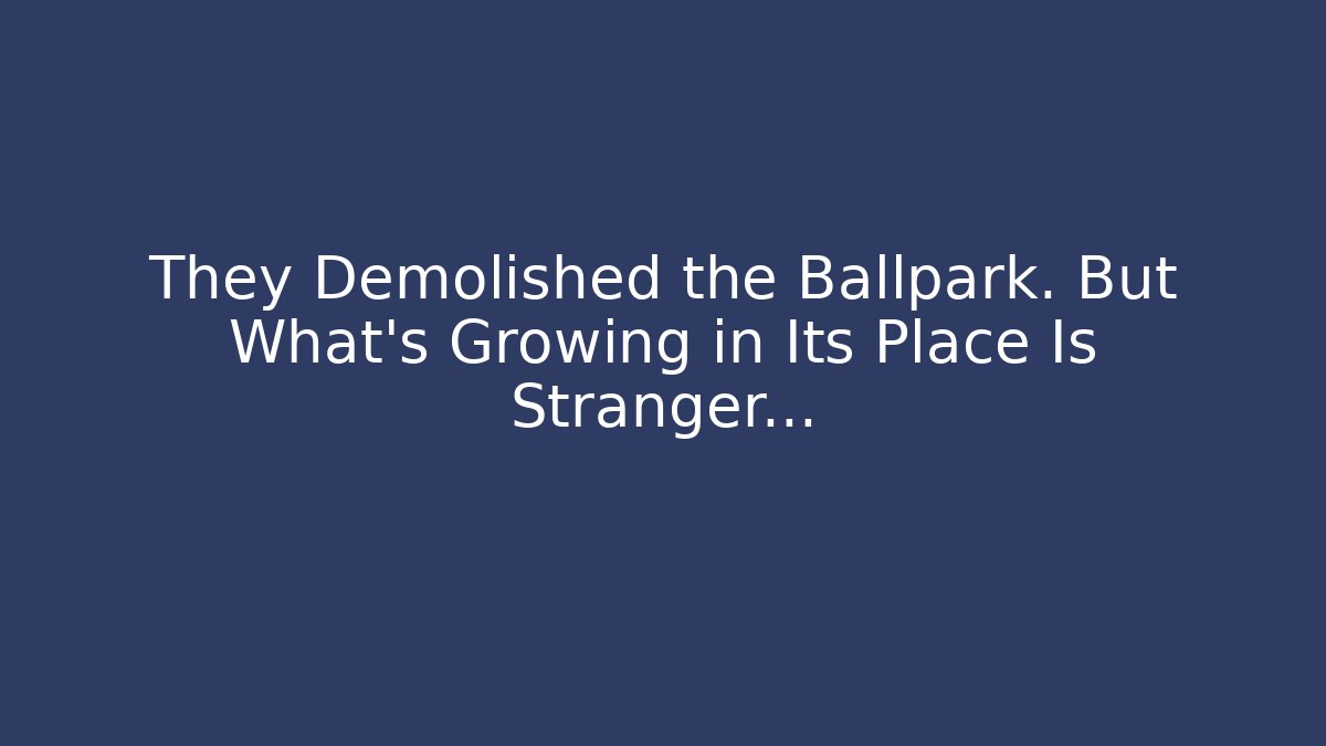 They Demolished the Ballpark. But What’s Growing in Its Place Is Stranger…