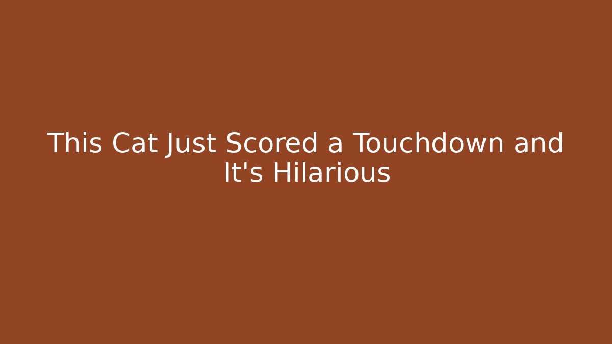 This Cat Just Scored a Touchdown and It’s Hilarious