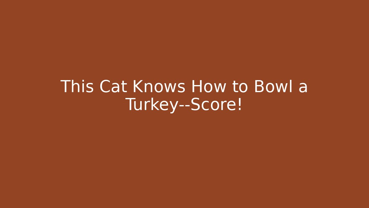 This Cat Knows How to Bowl a Turkey—Score!