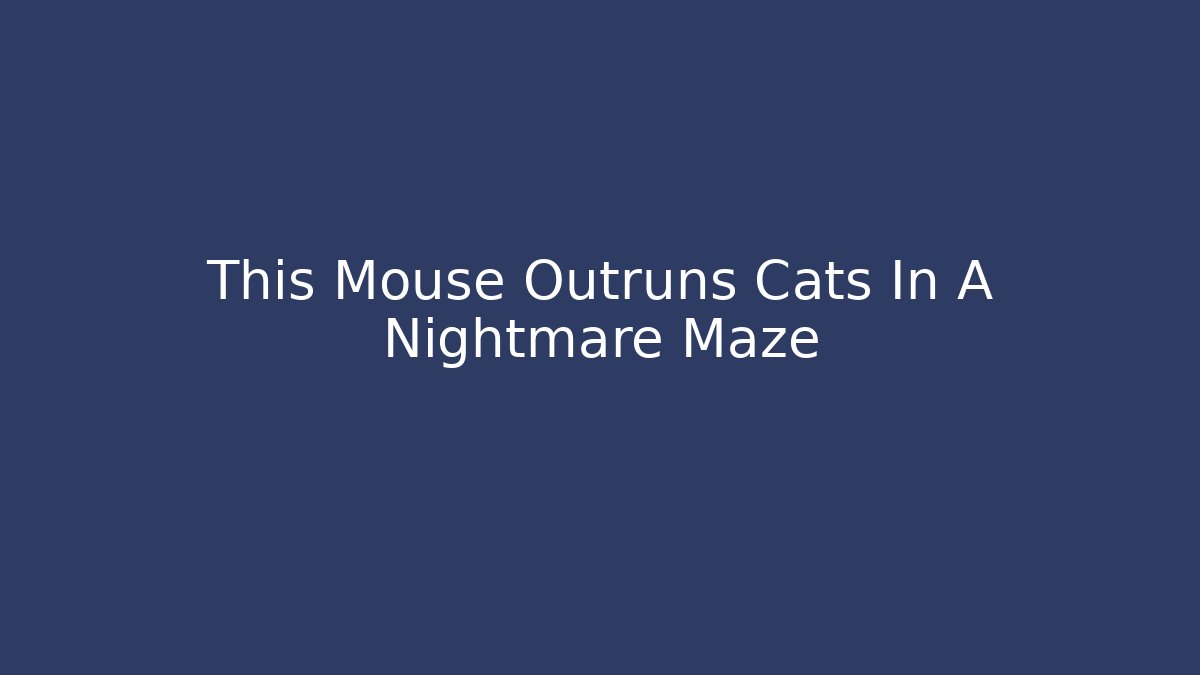 This Mouse Outruns Cats In A Nightmare Maze