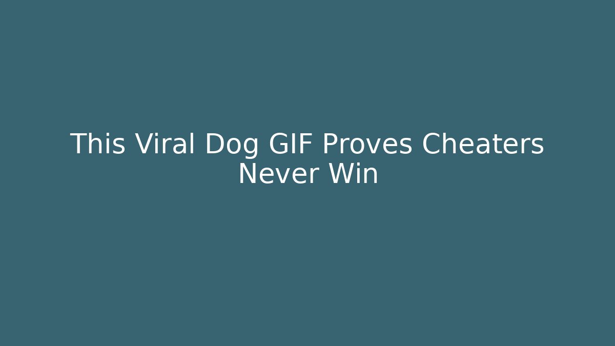 This Viral Dog GIF Proves Cheaters Never Win