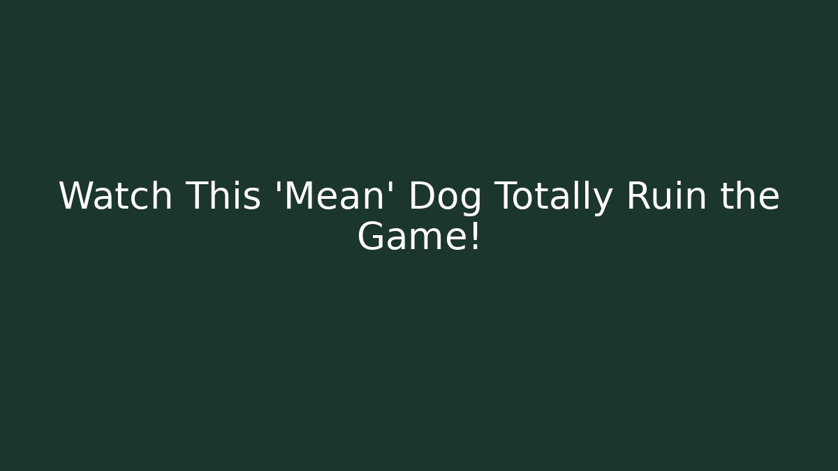Watch This 'Mean' Dog Totally Ruin the Game!