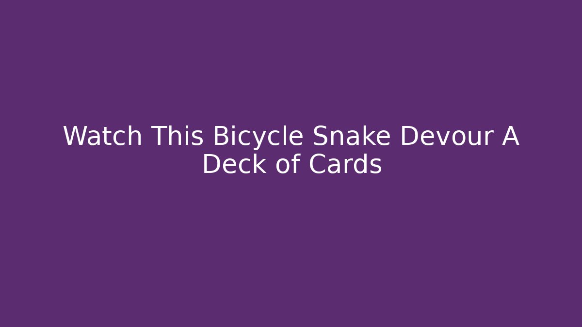 Watch This Bicycle Snake Devour A Deck of Cards