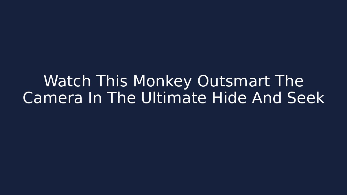 Watch This Monkey Outsmart The Camera In The Ultimate Hide And Seek