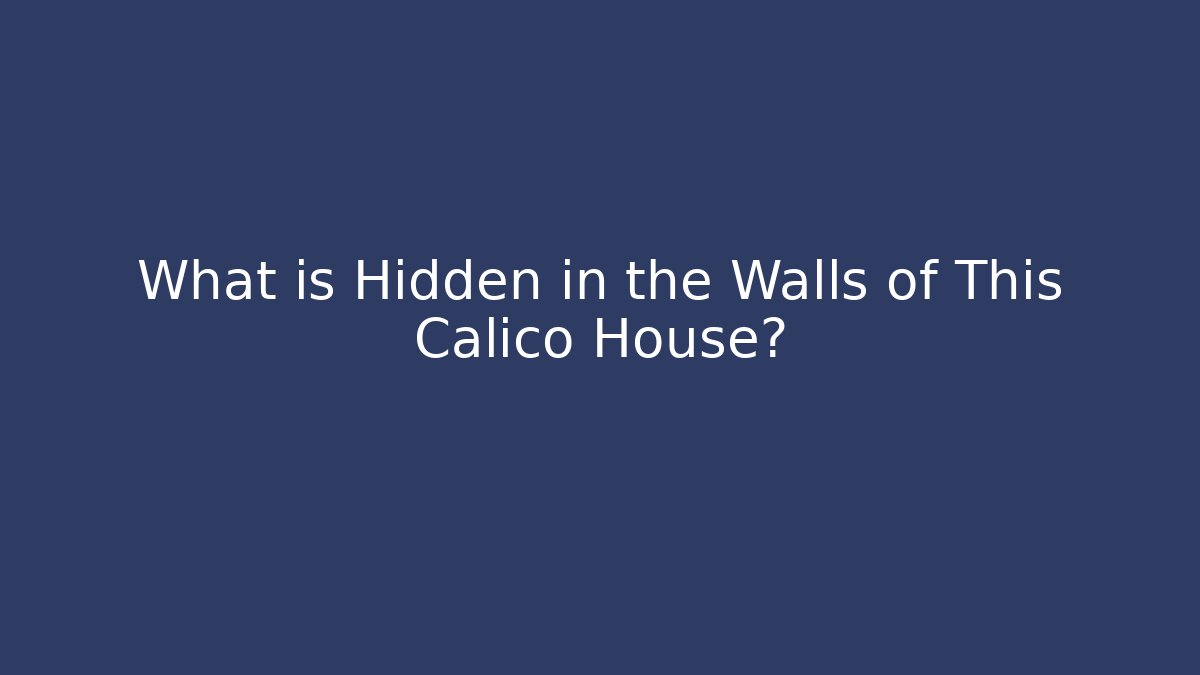 What is Hidden in the Walls of This Calico House?
