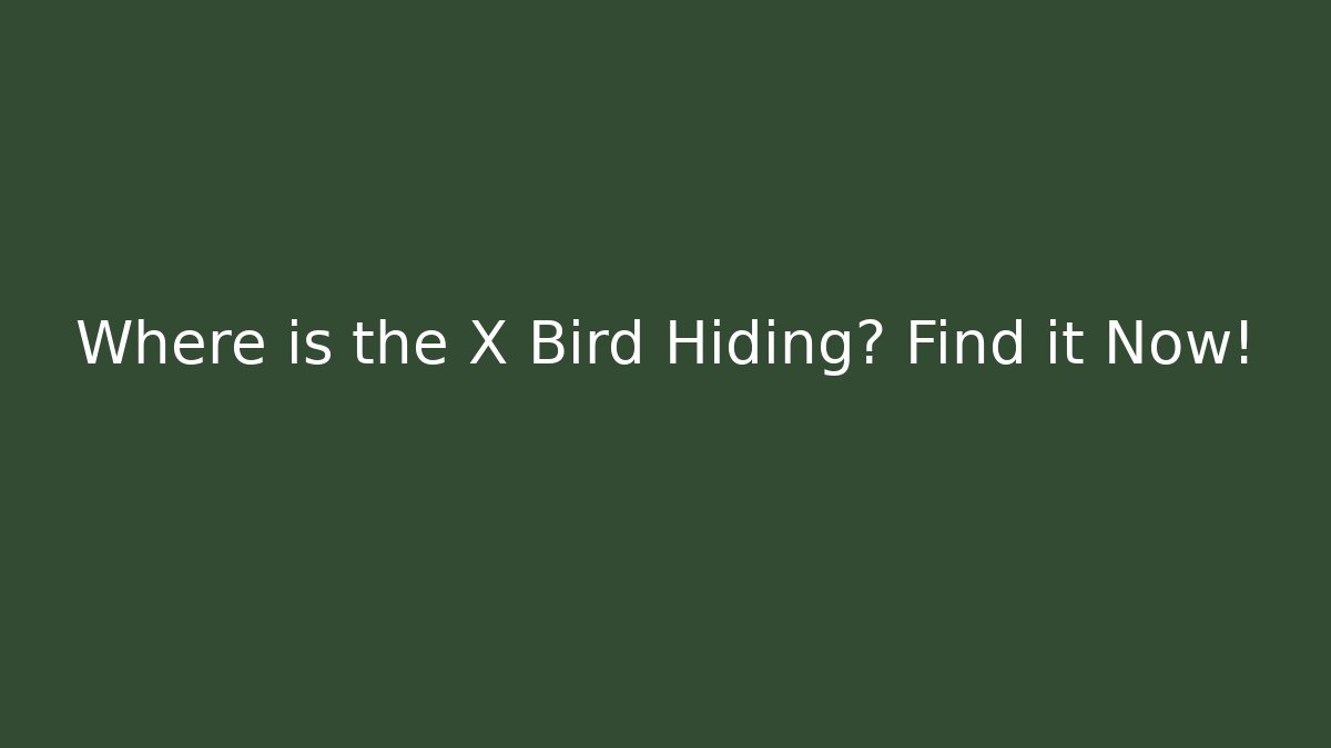 Where is the X Bird Hiding? Find it Now!