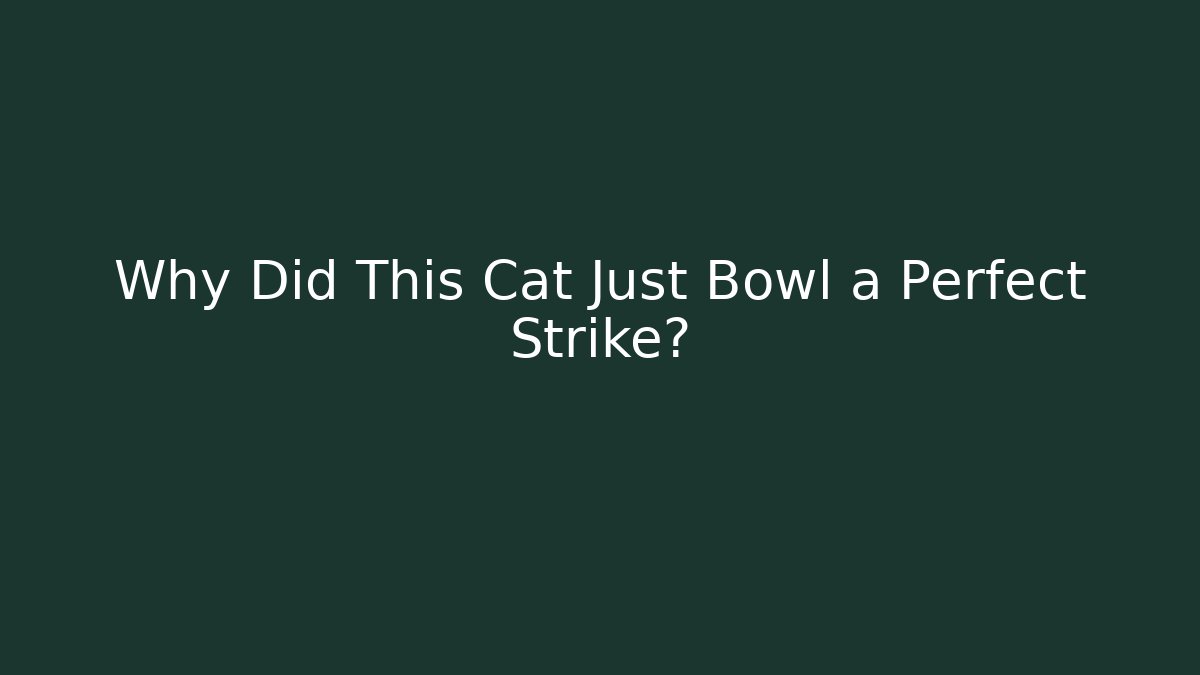 Why Did This Cat Just Bowl a Perfect Strike?