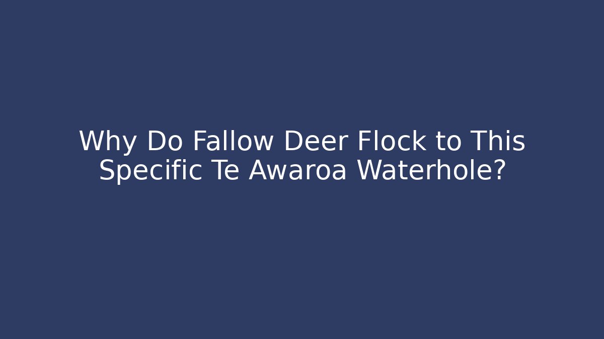 Why Do Fallow Deer Flock to This Specific Te Awaroa Waterhole?