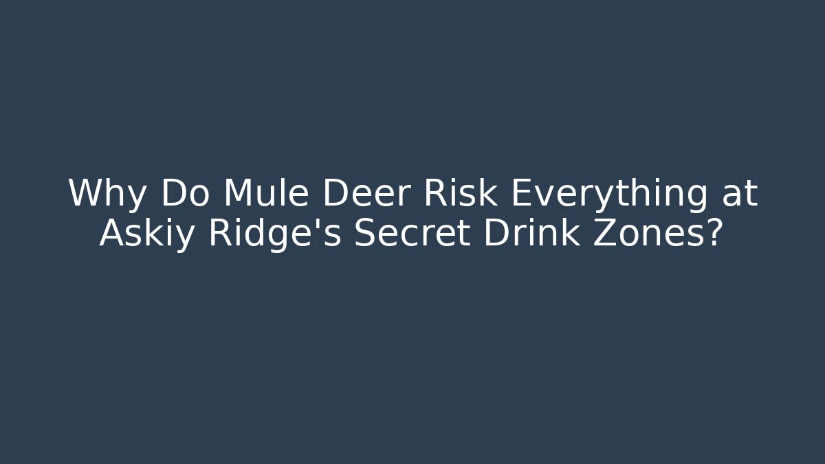 Why Do Mule Deer Risk Everything at Askiy Ridge's Secret Drink Zones?
