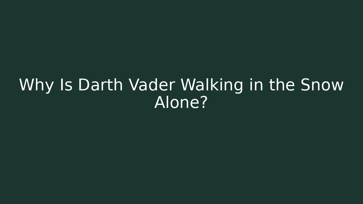 Why Is Darth Vader Walking in the Snow Alone? - Buddy Program
