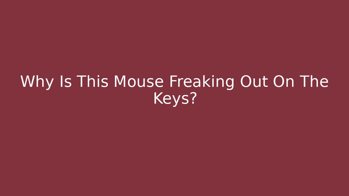 Why Is This Mouse Freaking Out On The Keys?