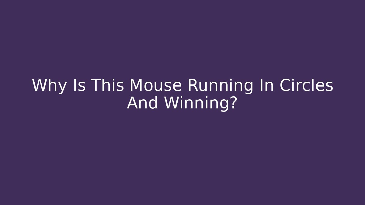 Why Is This Mouse Running In Circles And Winning?