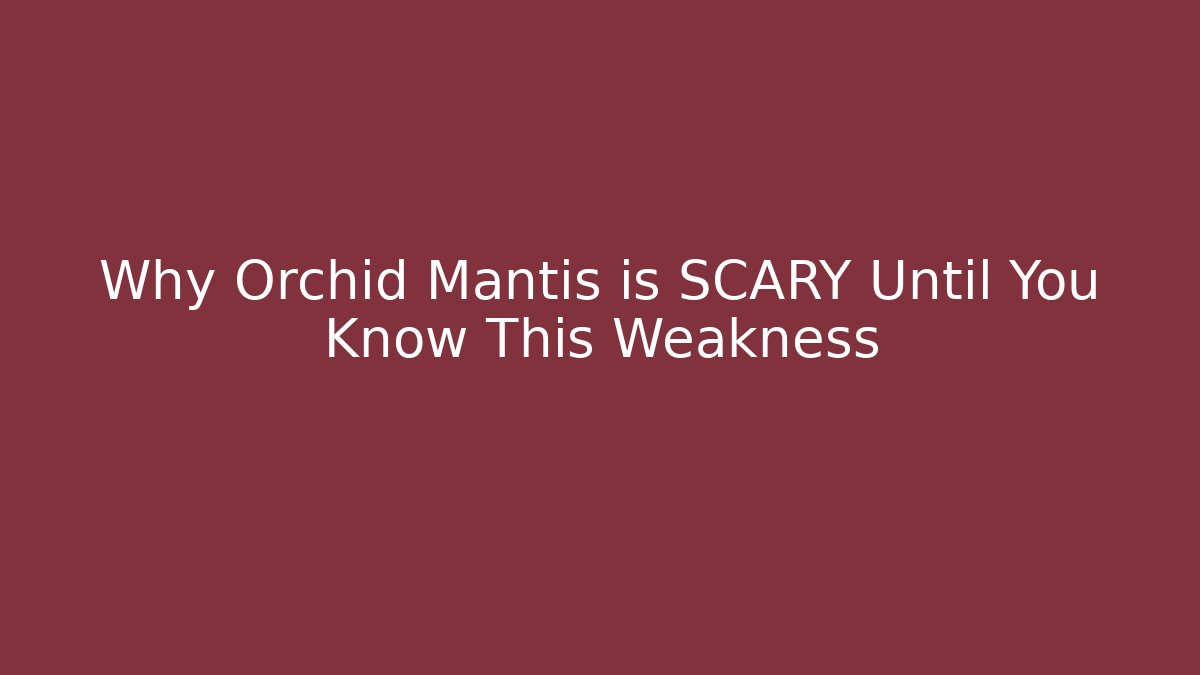 Why Orchid Mantis is SCARY Until You Know This Weakness