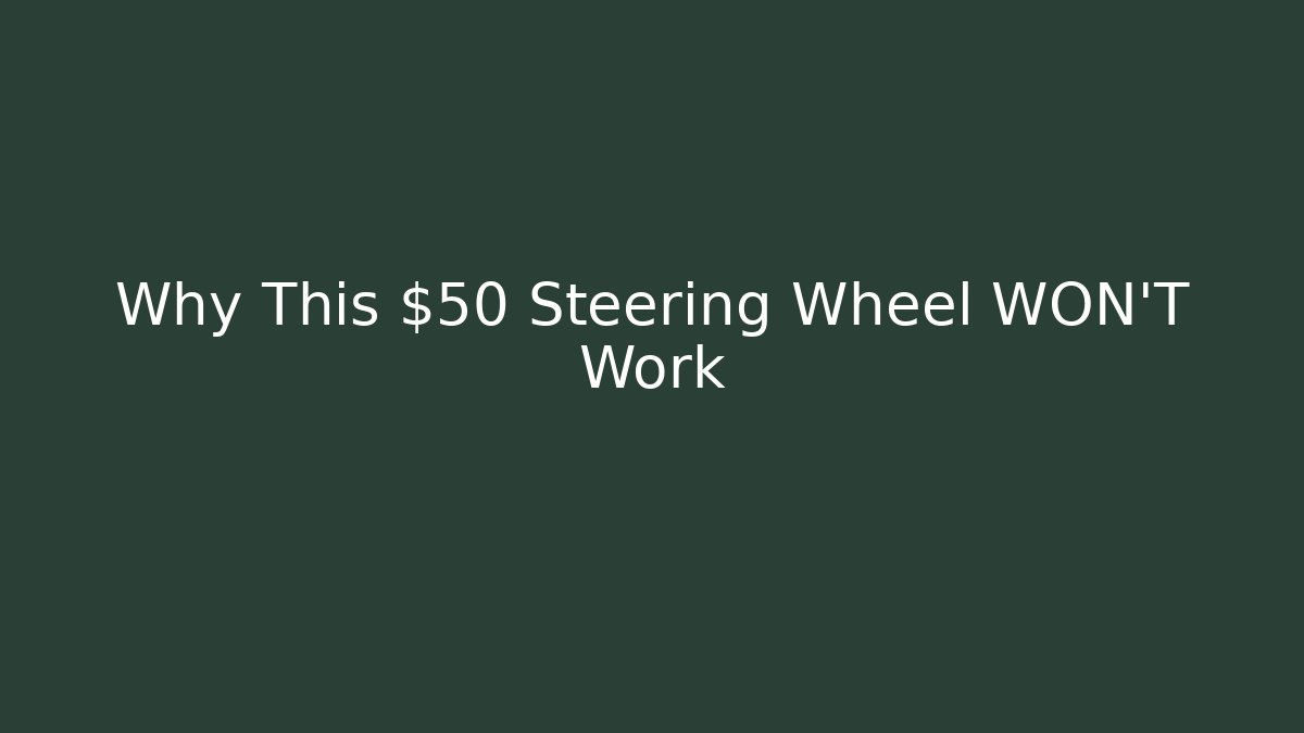 Why This $50 Steering Wheel WON'T Work
