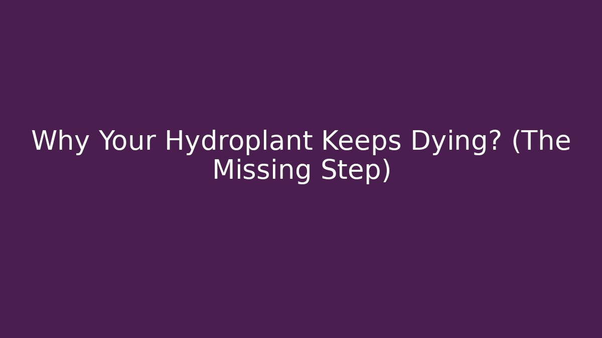 Why Your Hydroplant Keeps Dying? (The Missing Step) - Buddy Program
