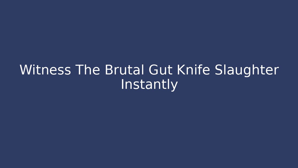 Witness The Brutal Gut Knife Slaughter Instantly