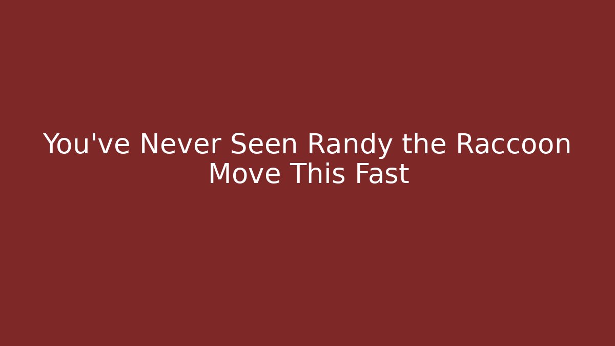 You've Never Seen Randy the Raccoon Move This Fast