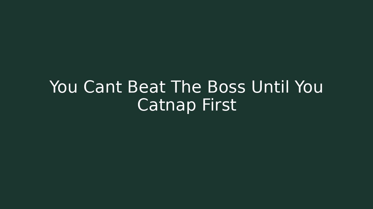 You Cant Beat The Boss Until You Catnap First